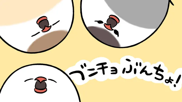 ブンチョぶんちょ!