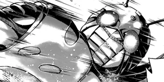 新 仮面ライダーSPIRITS