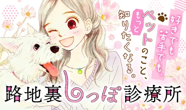 路地裏しっぽ診療所