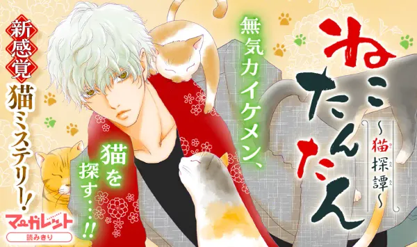ねこたんたん～猫探譚～
