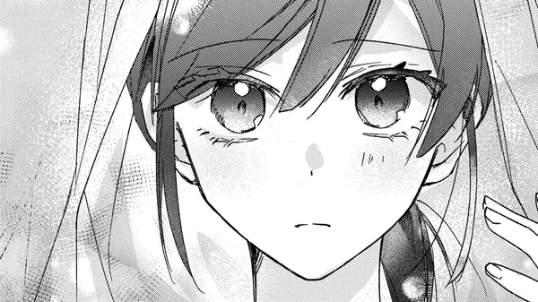 ただのコスプレイヤーなので聖女は辞めてもいいですか?
