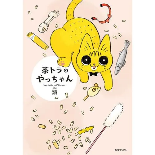 茶トラのやっちゃん