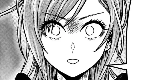 忍者の騎士