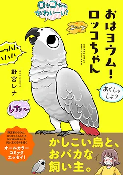 おはヨウム！
ロッコちゃん