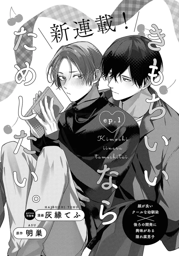 きもちいいならためしたい。