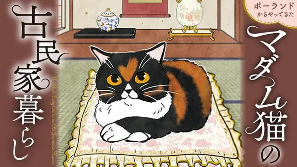 ポーランドからやってきたマダム猫の古民家暮らし