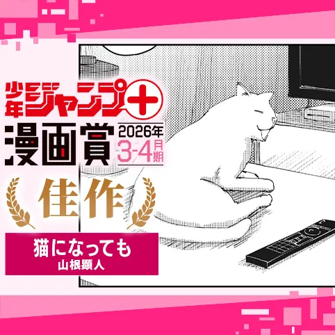 猫になっても／ジャンプ＋漫画賞 2026年3-4月期