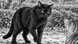 吾輩は猫である　原作夏目漱石